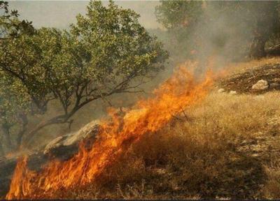 خبرنگاران 80 درصد از آتش سوزی مراتع قم عامل انسانی دارد خبرنگاران 80 درصد از آتش سوزی مراتع قم عامل انسانی دارد