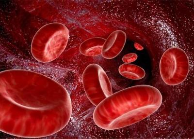 امکان انتقال آلرژی غذایی از راه تزریق خون