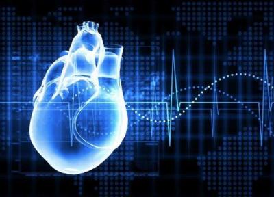 طراحی و ساخت یک داربست رسانا برای مدل سازی قلب