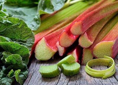 ریواس، سوغاتی فصل بهار برای کاهش کلسترول و فشار خون