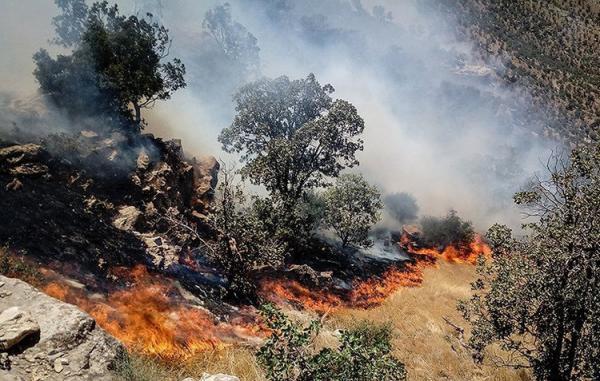 مهار آتش سوزی جنگل های منطقه حفاظت شده دیل گچساران