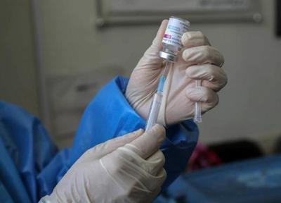 زالی: واکسیناسیون 90 درصد لازمه ایمنی همگانی علیه کرونا است