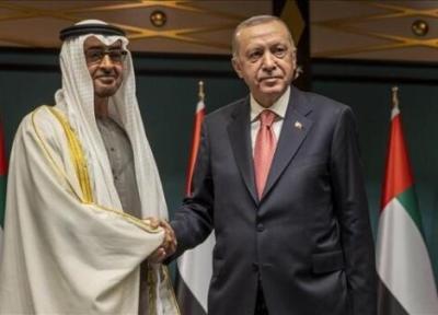 اردوغان: از ثبات امارات حمایت می کنیم