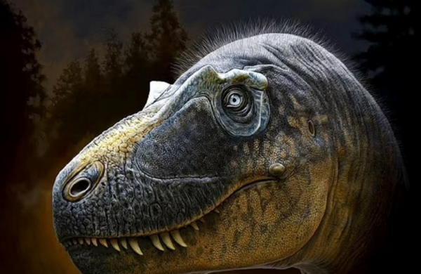 کشف شگفت انگیز اولین دایناسور تی رکس شاخ دار!