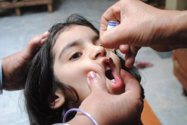 پول ظرف و لیبل واکسن ها هم درنمی آید ، واکسن فلج اطفال را با ضرر فراوری می کنیم