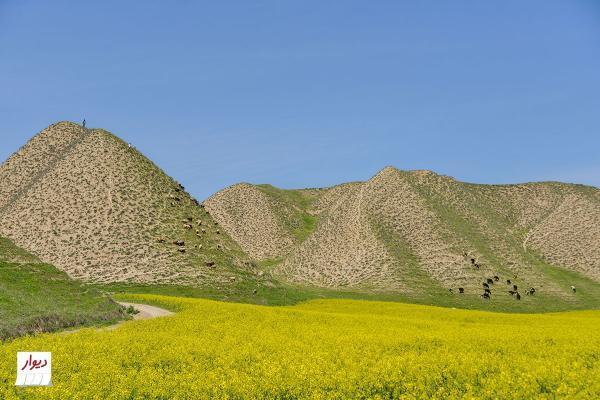 همه چیز درباره جاهای دیدنی گنبد کاووس